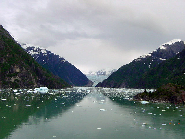 ice chunks and Sawyer Glacier